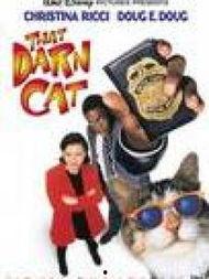 酷猫妙探,揭秘神秘案件，智慧与勇气的完美结合