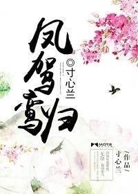 云鸾归,探寻神秘仙域的奇幻之旅